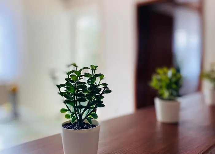 Antonia Апартаменты Rattelsdorf